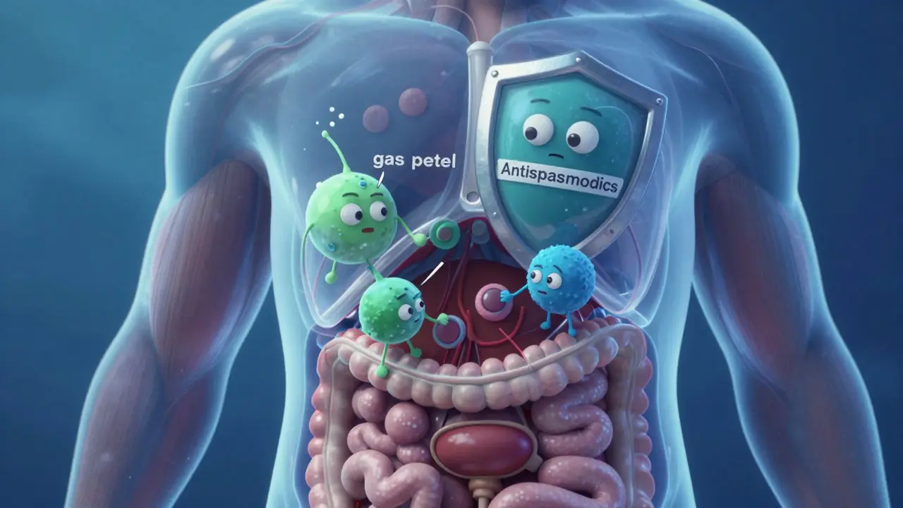 Antispasmodics and Anticholinergic Interactions: What You Need to Know